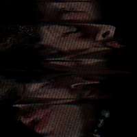 Fotografia Postmedialna obraz 1 z 13
