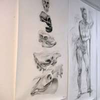Rysunek anatomiczny   obraz 13 z 20