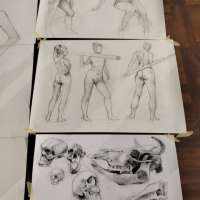 Rysunek anatomiczny   obraz 17 z 20